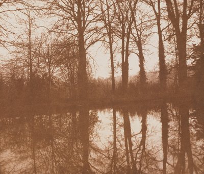 Reflecties, 1843 door William Henry Fox Talbot