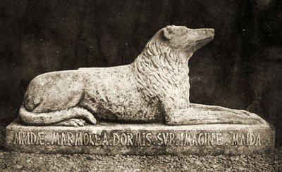 Standbeeld van Maida, naar verluidt de Favoriete Hond van Sir Walter Scott door William Henry Fox Talbot