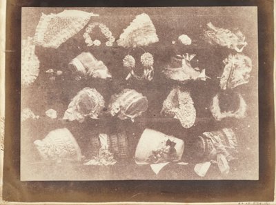 Het Etalage van de Hoedenmaker door William Henry Fox Talbot