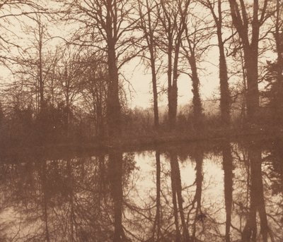Winterbomen, Weerspiegeld in een Vijver door William Henry Fox Talbot