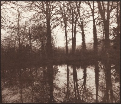 Winterbomen Weerspiegeld in een Vijver door William Henry Fox Talbot