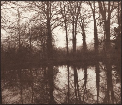 Winterbomen weerspiegeld in een vijver, 1841-42 door William Henry Fox Talbot