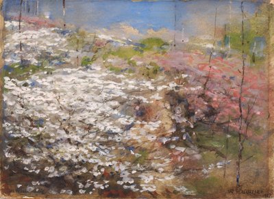 Veld van bloesems door William Henry Holmes