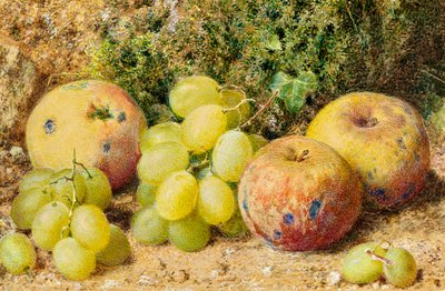 Appels en Witte Druiven, c.1860 door William Henry Hunt
