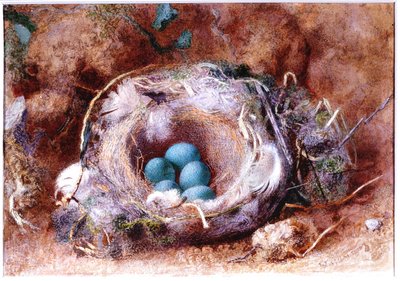 Vogelnest door William Henry Hunt