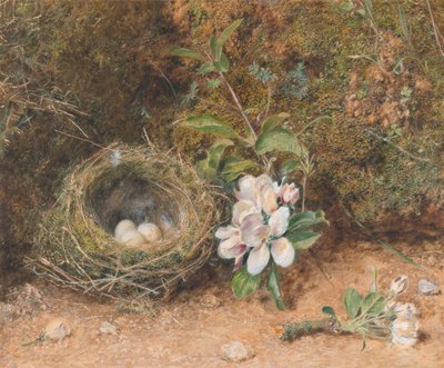 Vogelnest met Takken van Appelbloesems door William Henry Hunt