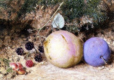 Rozenbottels, bramen en pruimen door William Henry Hunt