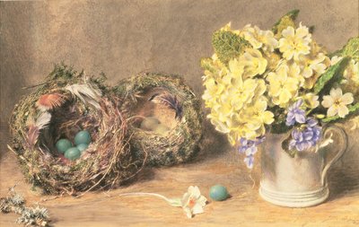 Lentebloemen en Vogelnesten, ca. 1830 door William Henry Hunt