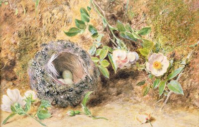 Stilleven met Vinkennest door William Henry Hunt