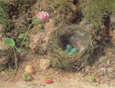 Stilleven met vogelnest door William Henry Hunt