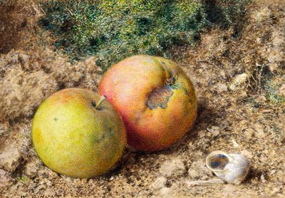 Stilleven met twee appels en een slakkenhuis door William Henry Hunt