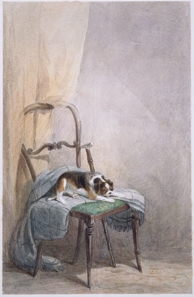 Studie van een hond op een stoel door William Henry Hunt