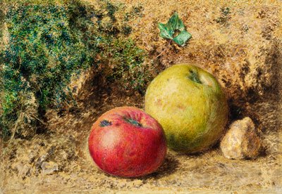 Het Contrast - Rode en Groene Appels, c.1860 door William Henry Hunt
