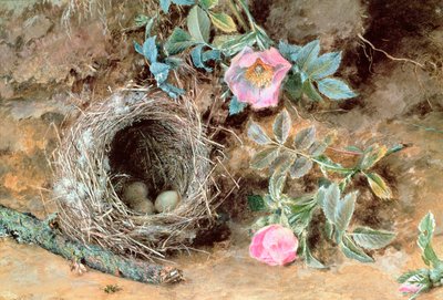 Wilde rozen en vogelnesten door William Henry Hunt