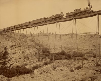 Dale Creek Brug door William Henry Jackson