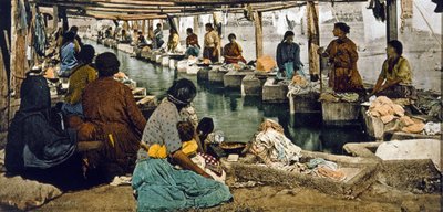Wasdag in Mexico-Stad, uitgegeven in Detroit, 1880-1900 door William Henry Jackson