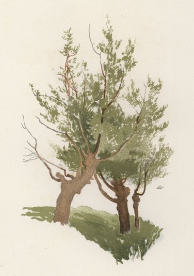 Bomen: De Wilg door William Henry James (after) Boot