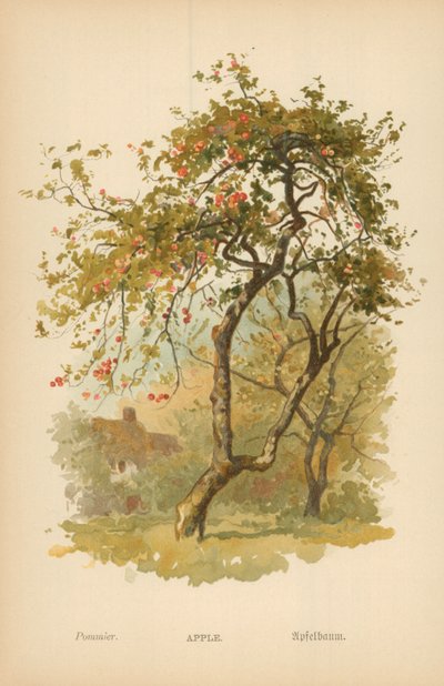 Appel door William Henry James Boot