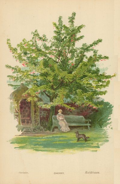 Kers door William Henry James Boot