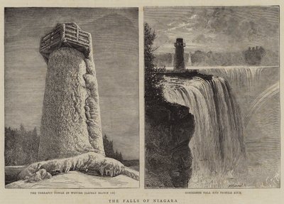 De Watervallen van Niagara door William Henry James Boot