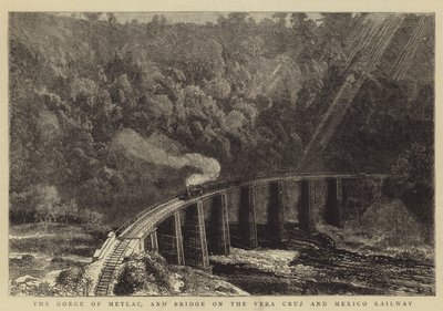 De kloof van Metlac en brug op de Vera Cruz en Mexico Spoorweg door William Henry James Boot