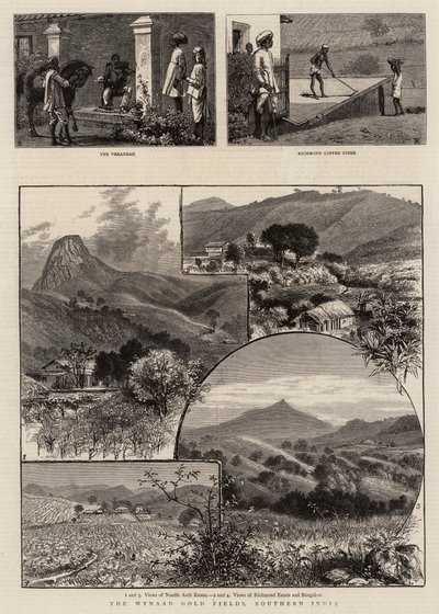 De Wynaad Goudvelden, Zuid-India door William Henry James Boot