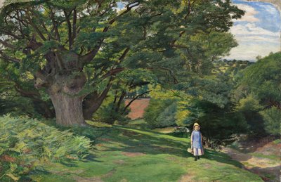 Hayes Common door William Henry Millais
