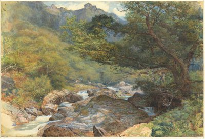 Aan de East Lyn, Noord-Devon door William Henry Millais