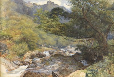 Aan de Lyn, Noord-Devon door William Henry Millais