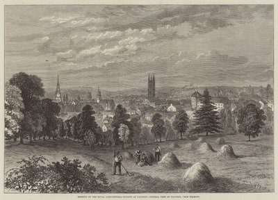 Bijeenkomst van de Koninklijke Landbouwmaatschappij in Taunton, algemeen overzicht van Taunton, vanaf Belmont door William Henry Pike
