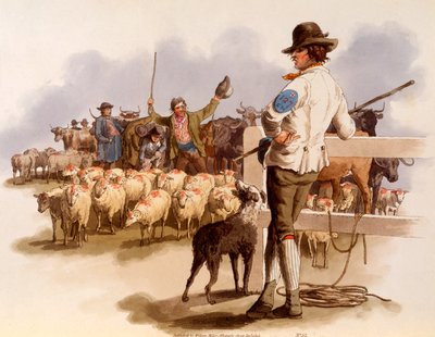 Smithfield Drover, uit 