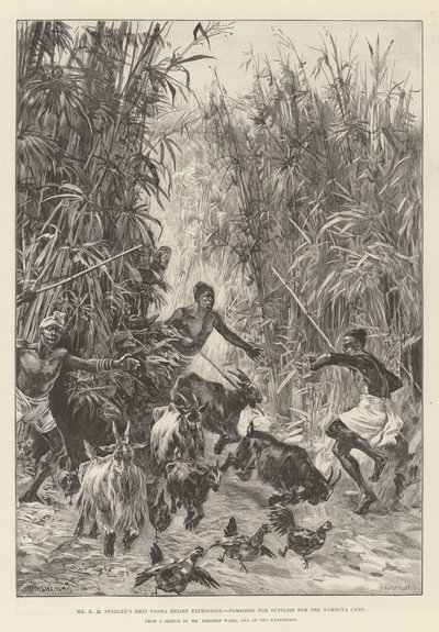 De Emin Pasha Relief Expedition van Mr H M Stanley, op zoek naar voorraden voor het Yambuya-kamp door William Heysham Overend