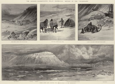 De Jackson-Harmsworth Pool Expeditie, Terugkeer van de Windward door William Heysham Overend