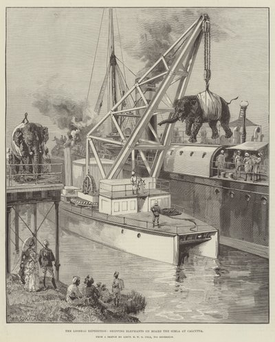 De Looshai Expeditie, olifanten aan boord van de Simla in Calcutta door William Heysham Overend
