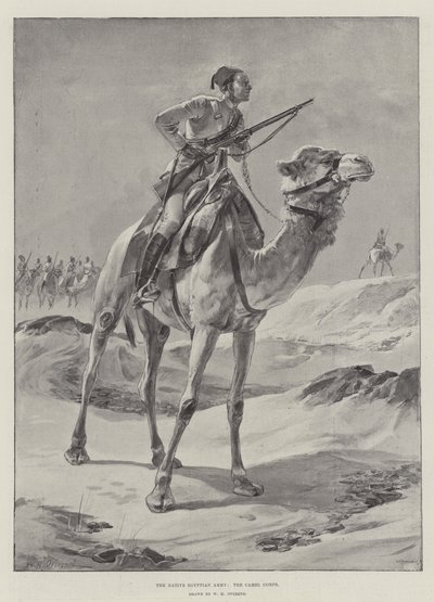 Het Inheemse Egyptische Leger, het Kameelkorps door William Heysham Overend