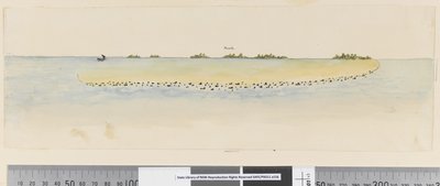Pagina 25b Profiel van een niet-geïdentificeerd eiland in de Stille Oceaan met een lagune door William Hodges
