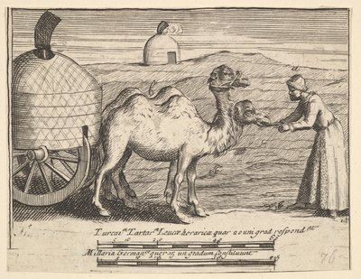 Twee dromedarissen Aubry de La Mottrayes reizen door Europa, Azië en in delen van..., 1723-24 door William Hogarth