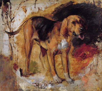 Een Studie van een Bloedhond door William Holman Hunt