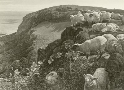 Op de heuvel (gravure) door William Holman Hunt