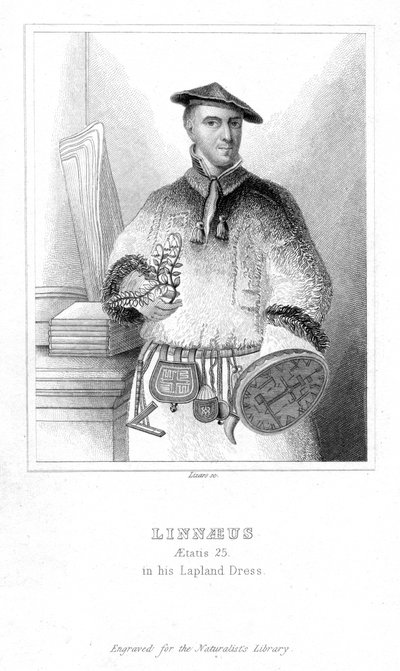 Carolus Linnaeus, Zweedse natuuronderzoeker door William Home Lizars