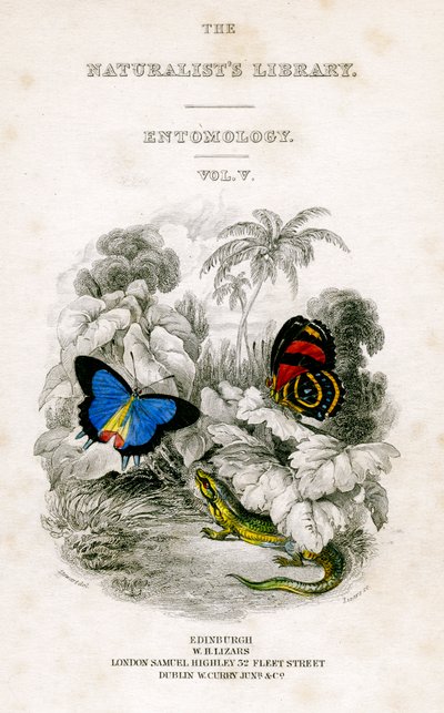 De bibliotheek van de natuuronderzoekers, Entomologie, Vol V, Vlinders, c1833-1865 door William Home Lizars