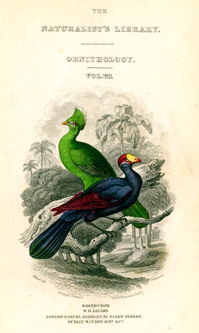 De Natuurliefhebbers Bibliotheek, Ornithologie, Senegal Toerako, Violet Plantain Eter, ca. 1833-1865 door William Home Lizars