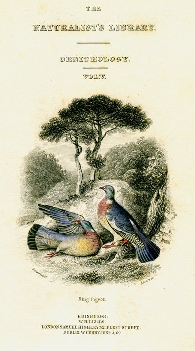 De Natuurliefhebbers Bibliotheek, Ornithologie Vol V, Ringduif, ca. 1833-1865 door William Home Lizars