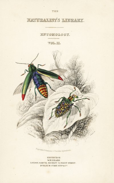 Titelpagina met vignette van juweelkever, Chrysochroa fulminans, en patch-winged diamantkever, Curculio splendens door William Home Lizars