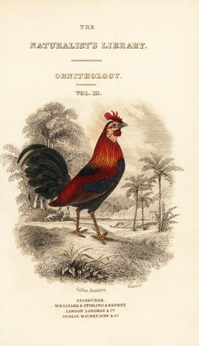 Titelpagina met vignette van rode junglehoen (Javaans), Gallus gallus bankiva door William Home Lizars
