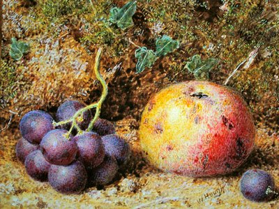Appels en Druiven door William Hough