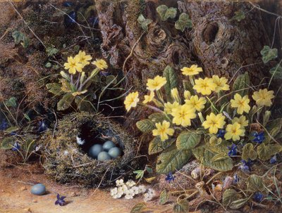 Stilleven met een vogelnest, sleutelbloemen en viooltjes door William Hough