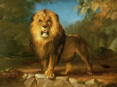 Een Leeuw, 1840 door William Huggins