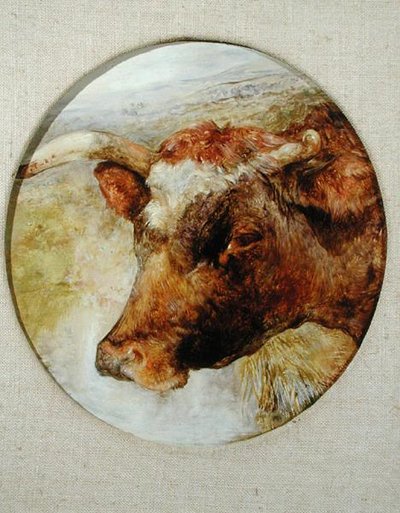 Hoofd van een Longhorn koe door William Huggins
