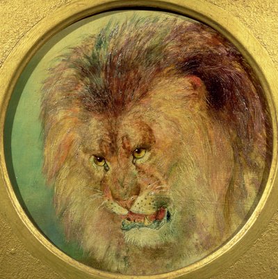 Studie van een leeuw door William Huggins